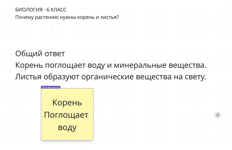 Стикер Корень окружён фиолетовой пунктирной рамкой с именем ученика во время захвата