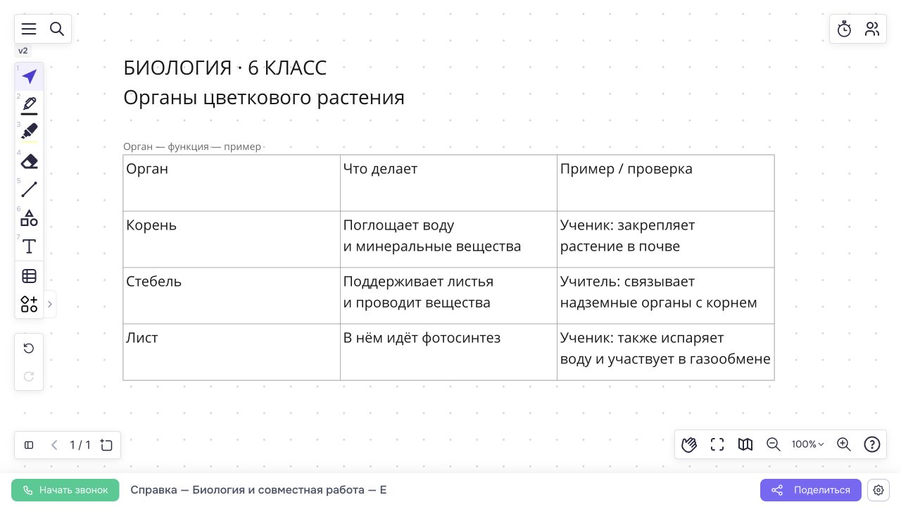Таблица органов цветкового растения с объяснением преподавателя и ответами ученика